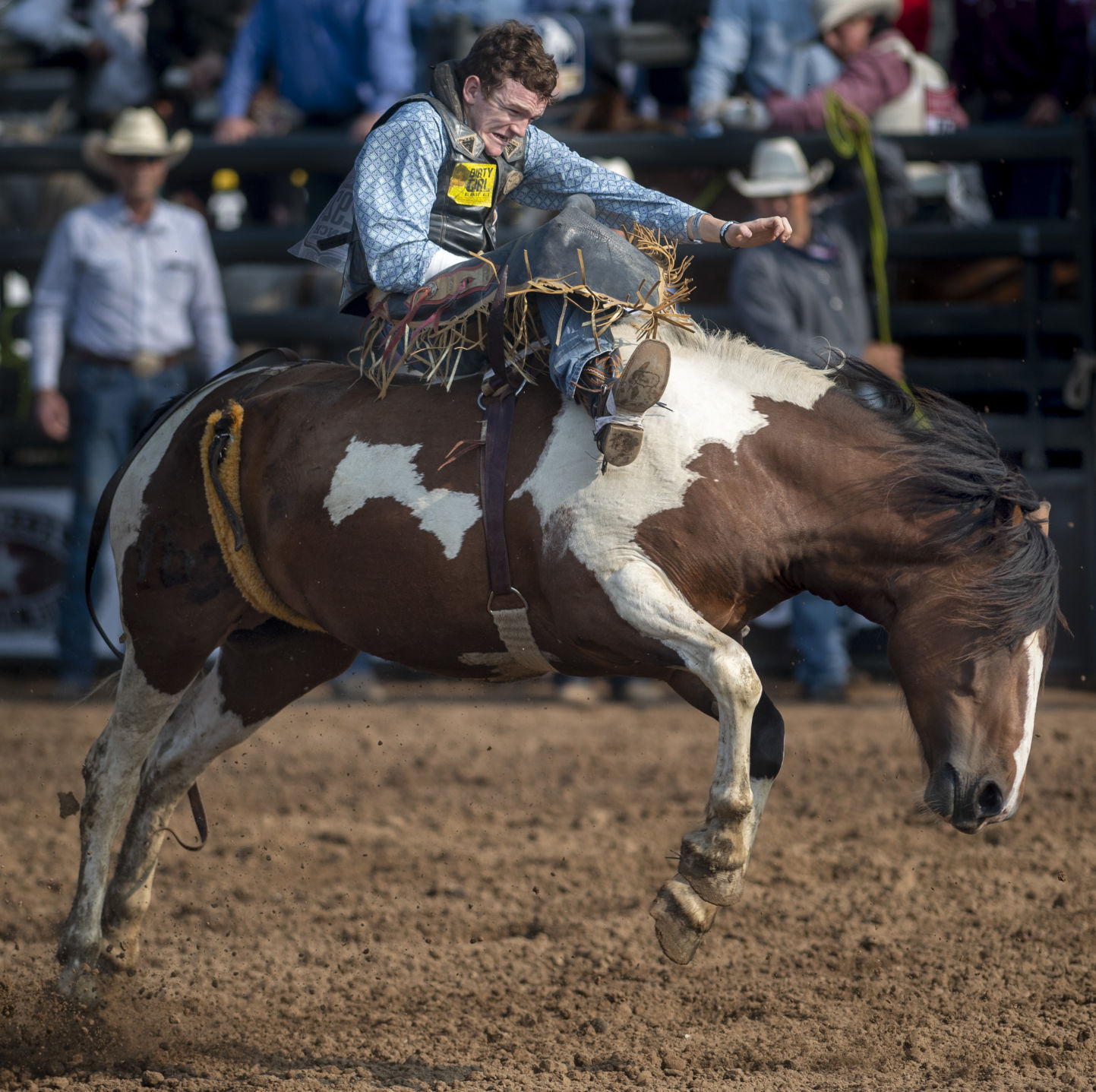 Rodeo, 7.20